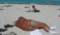 beached whale (2).jpg - 13kB