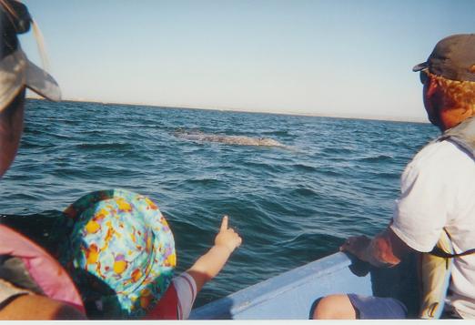 windy and whale.JPG - 30kB