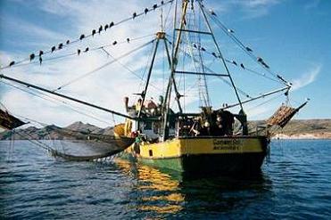 shrimp boat.jpg - 49kB