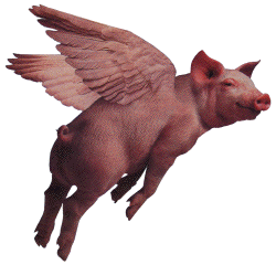 flyingpig.gif - 19kB