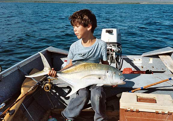 jack_crevalle.jpg - 49kB