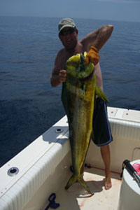 34# Dorado.jpg - 46kB