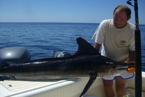 big marlin1.jpg - 46kB