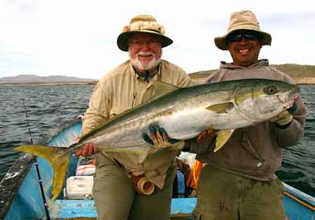 50lb yellowtail.jpg - 32kB