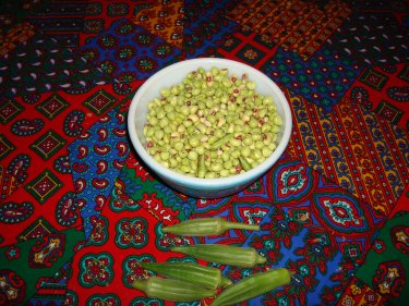 peas1.jpg - 42kB