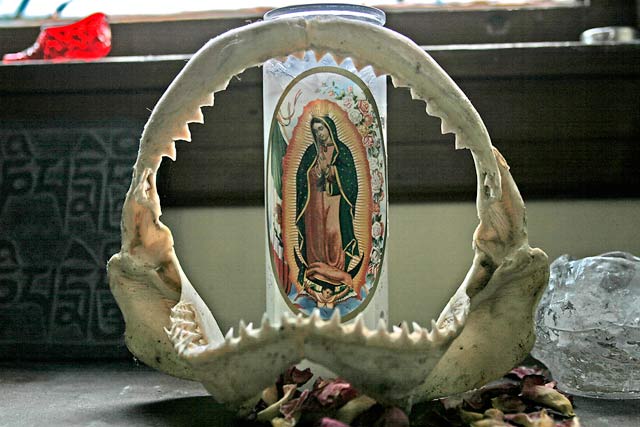 guadalupe-jaws.jpg - 48kB