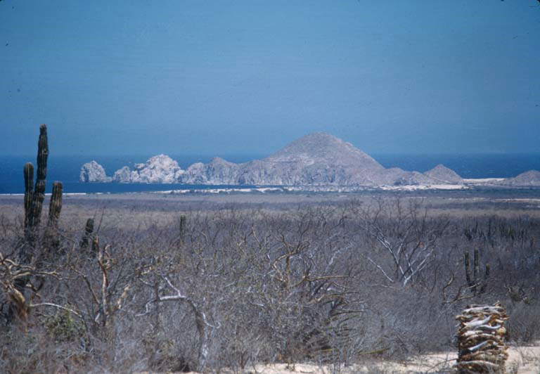 Cabo San Lucas, 1951X.jpg - 49kB