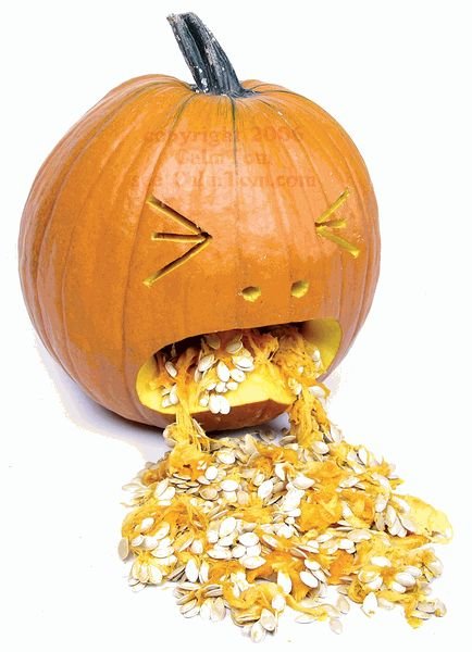 throwing up pumpkin.jpg - 47kB