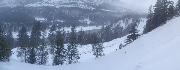 panorama, snowy fraser, hill below school, small.JPG - 48kB