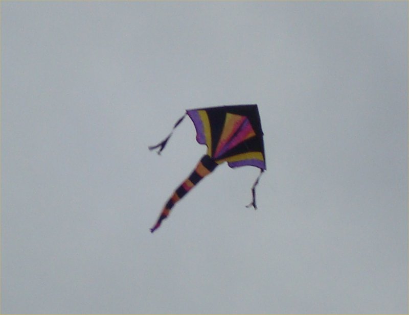 kite.jpg - 30kB