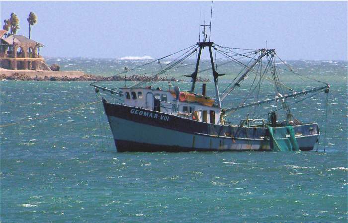 Shrimper 2:3:08.jpg - 47kB