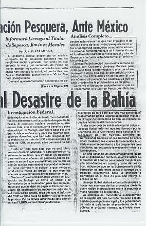 1991article2.jpg - 49kB