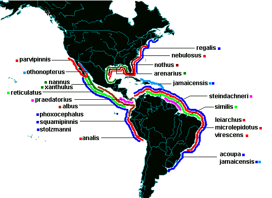 Cynoscion_map1.gif - 11kB