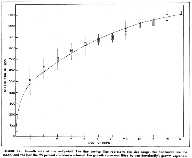 yellowtail_growth.jpg - 48kB