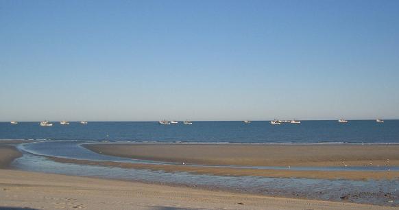 r.shrimp boats from patio.jpg - 15kB