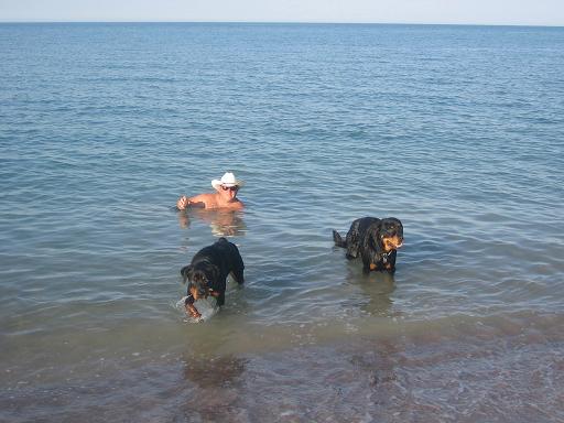 r.ChuckDogsBeach.jpg - 33kB