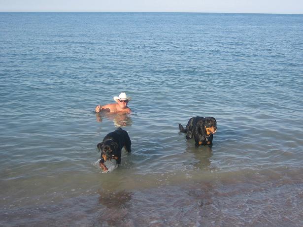 r.chuckdogsbeach.jpg - 46kB