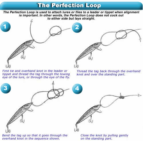 Perfectionloop-knotdb.jpg - 33kB