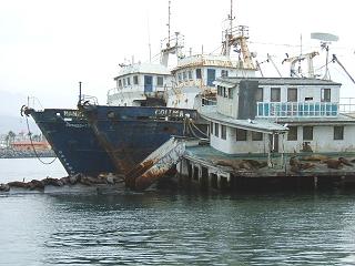 SS Catalina 2.JPG - 29kB