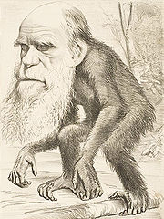 180px-Darwin_ape.jpg - 17kB