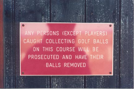 golfball collecting.jpg - 35kB