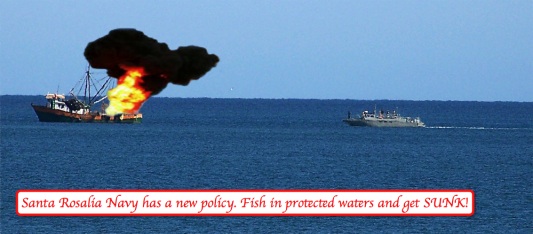 Navy New Policy.jpg - 47kB