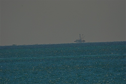 Big Seiner 6:21:09 1000mm lens.jpg - 47kB