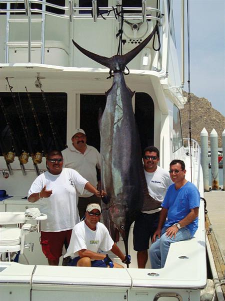 blackmarlin_auriga_081809_sm (Medium).jpg - 49kB