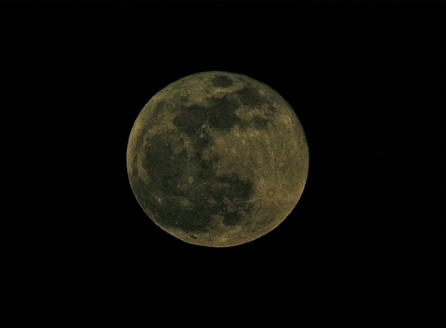 Last Moon of 2009.jpg - 47kB