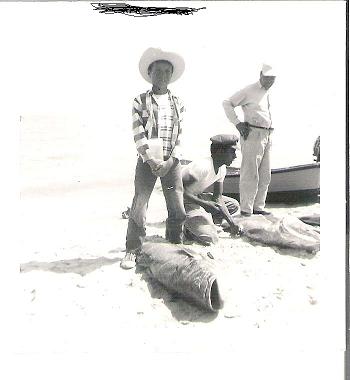 san felipe 1953 001.jpg - 23kB