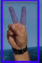 Blue handed.jpg - 24kB