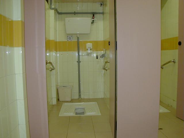 china toilet 2.JPG - 28kB