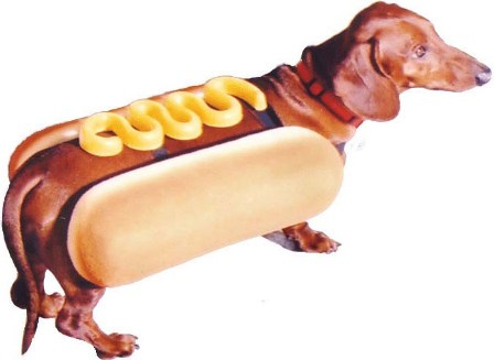 hotdog.jpg - 39kB