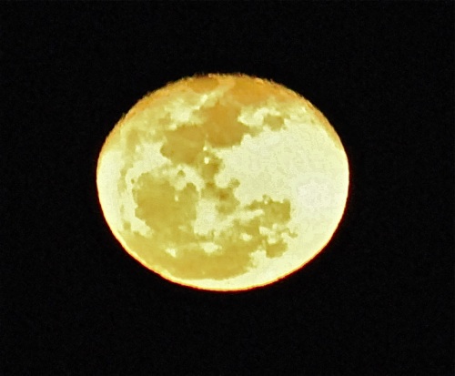 2:19:11 moon.jpg - 48kB
