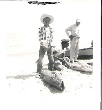 san felipe 1953 001.jpg - 35kB