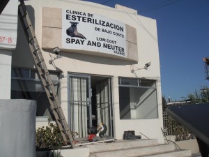 SpayNeuter.jpg - 21kB