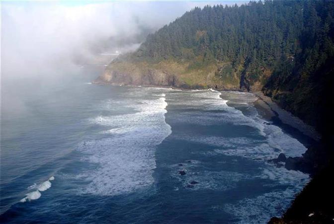 OREGON COAST NEAR HECETA HEAD LIGHTHOUSE.jpg - 47kB