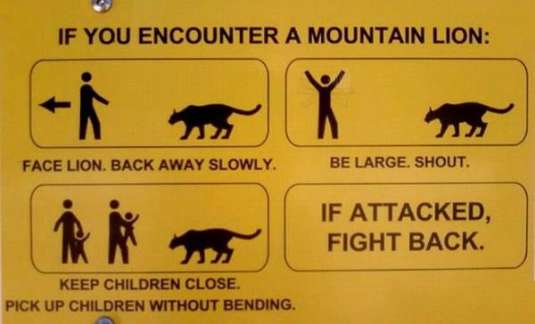 If-you-encounter-a-mountain-lion.jpg - 33kB