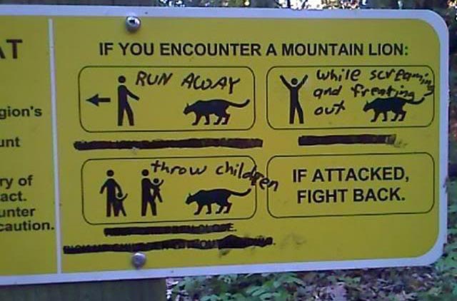 If_you_encounter_a_mountain_lion_gag.jpg - 45kB