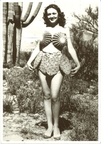 cactus lady Nomad.jpg - 48kB