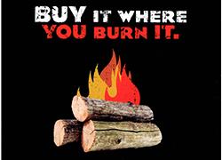 burn it where you buy it..jpg - 8kB