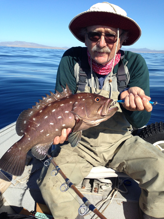 asuncion_grouper_700ppx.jpg - 171kB