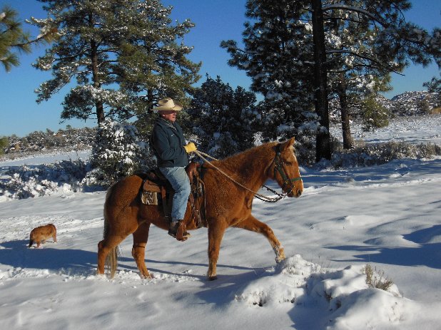 John on Hollywood snow 1-1-2015, lo res.jpg - 95kB