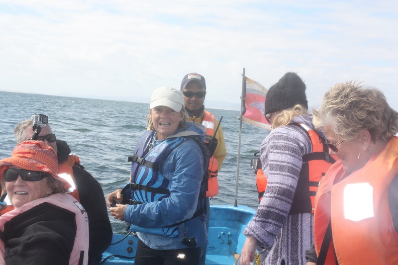 2015 Whale Watch 300.JPG - 146kB