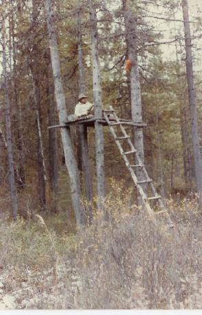 Copy of Hunt - me in treestand.jpg - 38kB