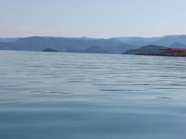 20151001_145548.jpg - 88kB