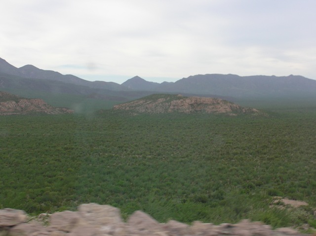 P1010266.JPG - 68kB