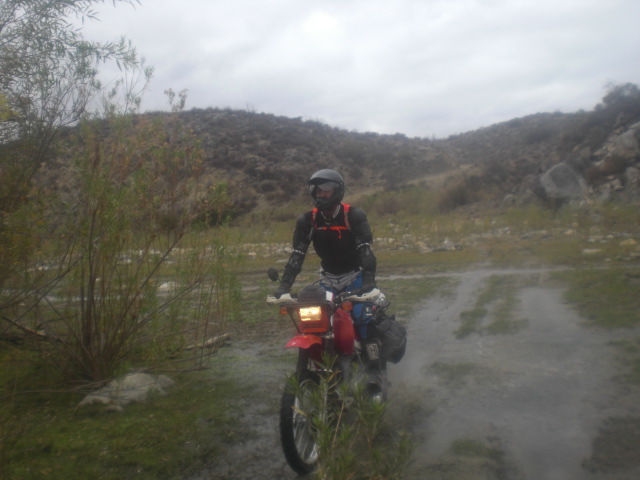 CIMG3694.JPG - 113kB