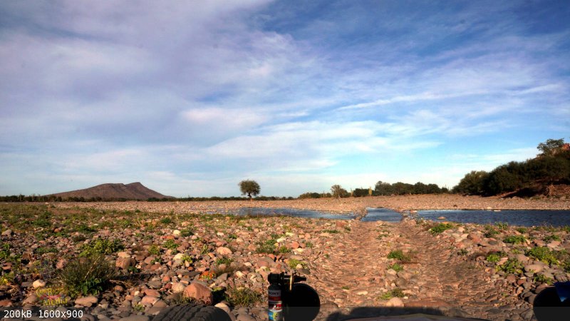 paolaVerde01-16-2016-0001.jpg - 200kB