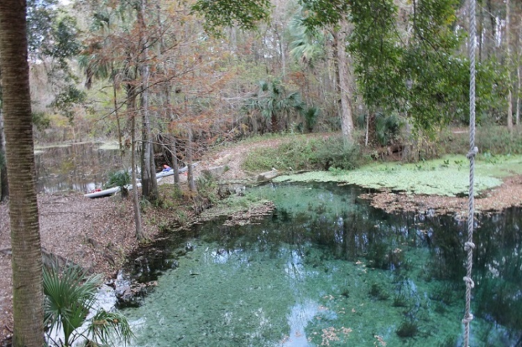 Blue Spring, Withalachochee River, FL.jpg - 241kB